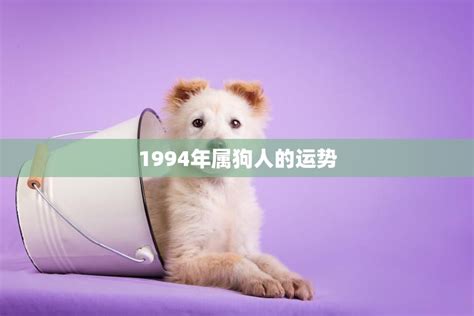 1994年是什么狗|1994年属狗是什么命 1994年属狗的是什么命